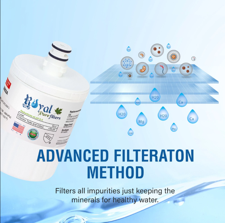 Royal Pure Filter RPF-5231JA2002A CTO Removal Refrigerator Water Filter